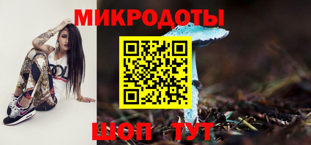 Псилоцибиновые грибы Psilocybe Комсомольск-на-Амуре